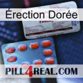 Érection Dorée 36
